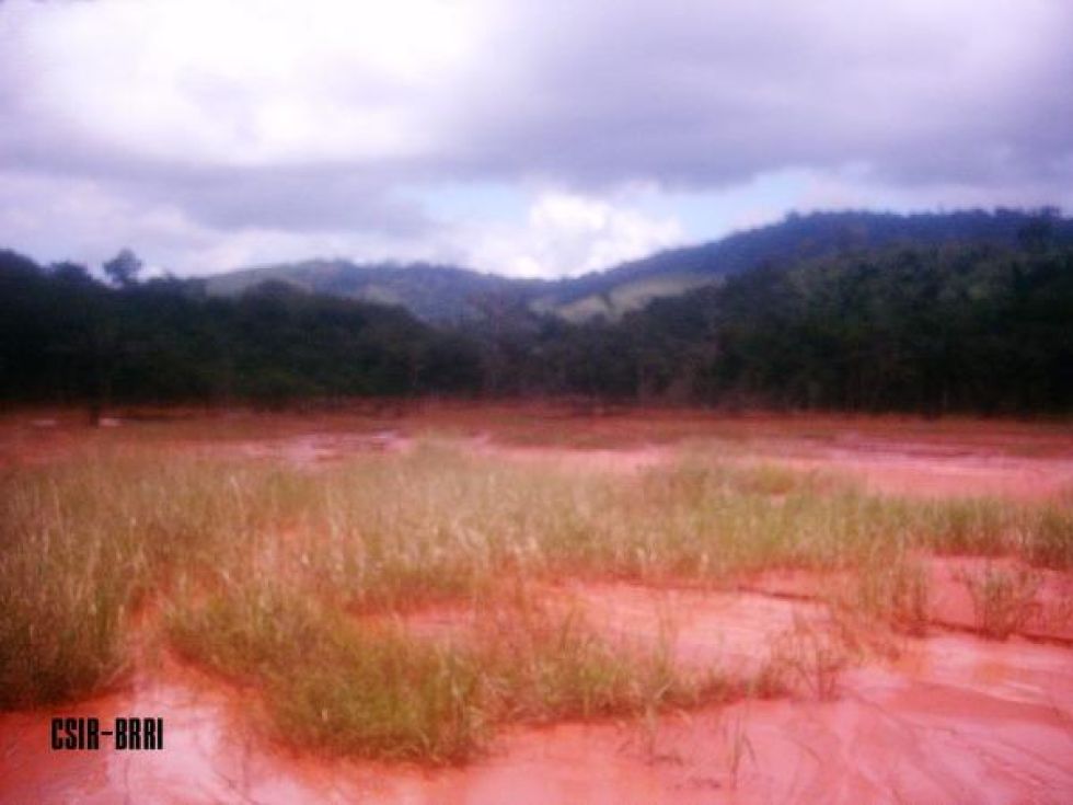 CSIRBuilding and Road Research Institute Gallery