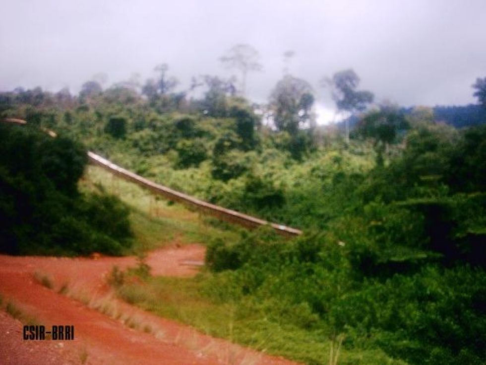 CSIRBuilding and Road Research Institute Gallery